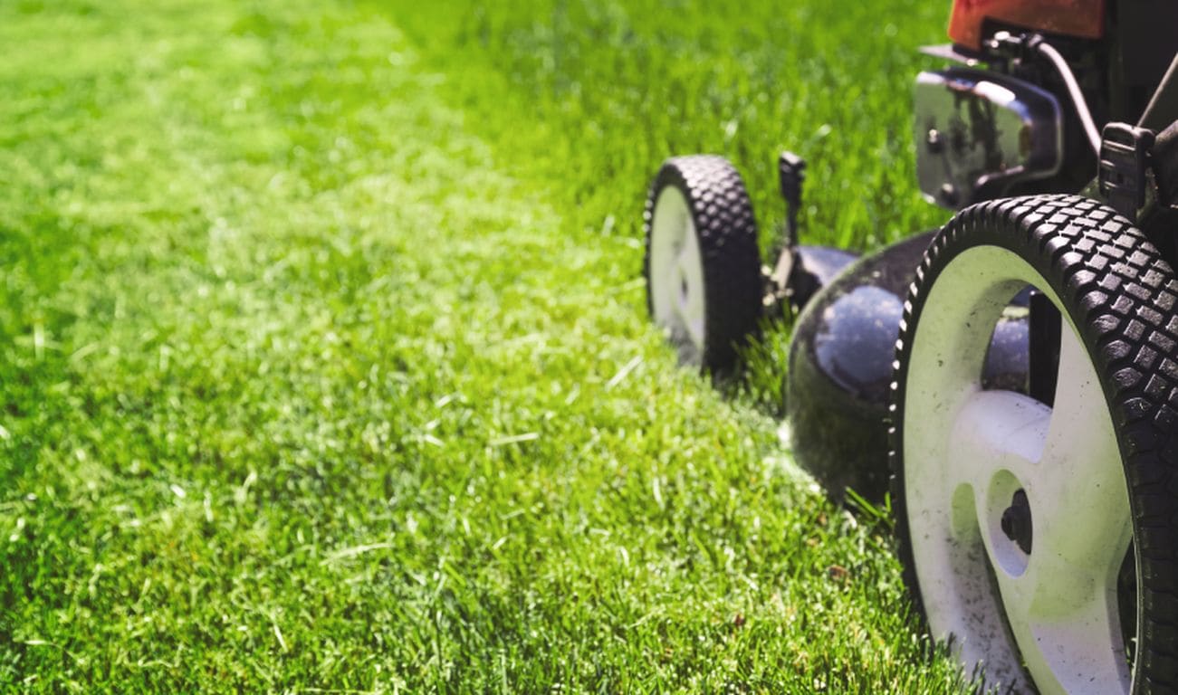 LAWN CARE